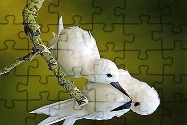 natural jigsaw puzzle