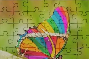 cores jigsaw puzzle