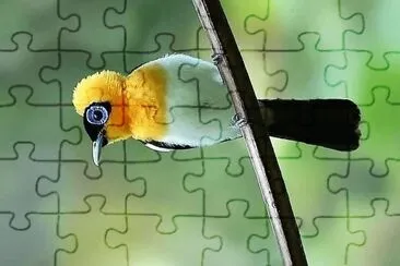 natural jigsaw puzzle