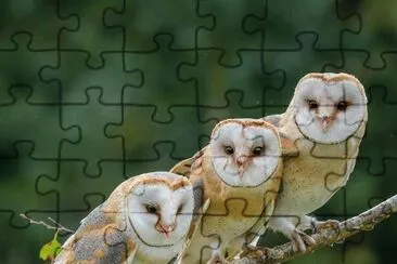 imagem jigsaw puzzle