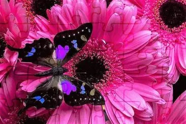 natural jigsaw puzzle