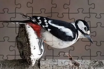 natural jigsaw puzzle