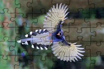 natural jigsaw puzzle
