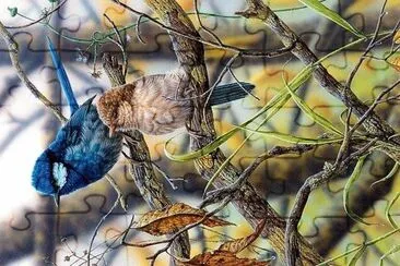 natural jigsaw puzzle