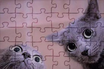 natural jigsaw puzzle