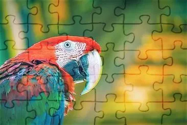 natural jigsaw puzzle