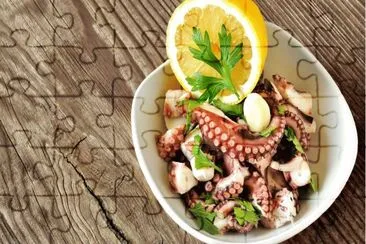 Octopus