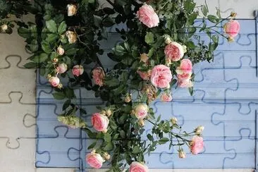 flores jigsaw puzzle