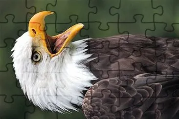 natural jigsaw puzzle