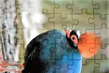 natural jigsaw puzzle
