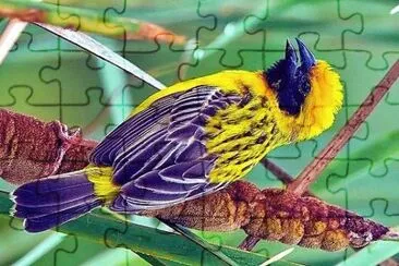 natural jigsaw puzzle