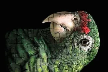 natural jigsaw puzzle