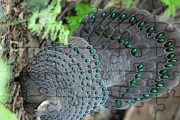 natural jigsaw puzzle