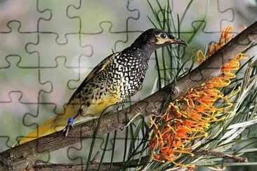 natural jigsaw puzzle