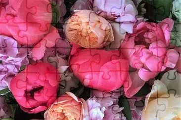 flores jigsaw puzzle