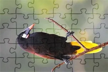 natural jigsaw puzzle
