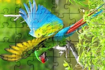 natural jigsaw puzzle