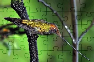 natural jigsaw puzzle