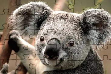 Reurters jigsaw puzzle