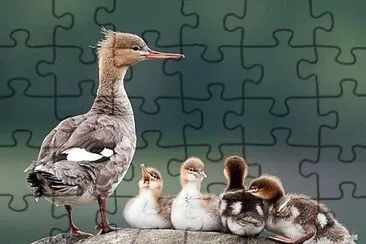 natural jigsaw puzzle