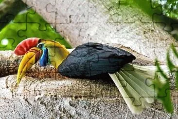 natural jigsaw puzzle