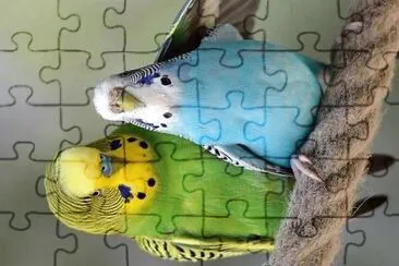 natural jigsaw puzzle