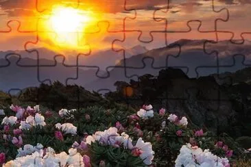25 jigsaw puzzle
