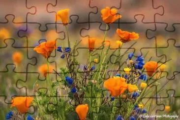 imagem jigsaw puzzle