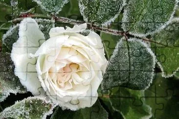 imagem jigsaw puzzle