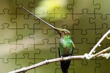 natural jigsaw puzzle