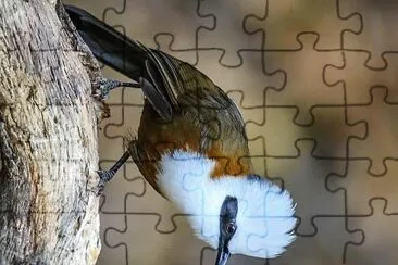 natural jigsaw puzzle