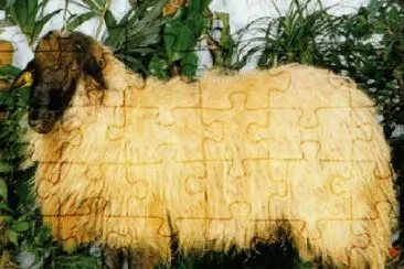 Leccese jigsaw puzzle