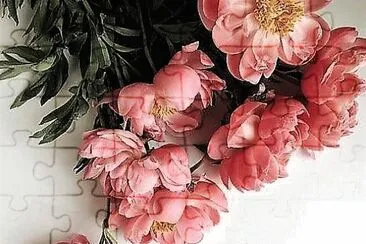 flores jigsaw puzzle
