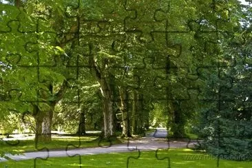 naturaleza jigsaw puzzle