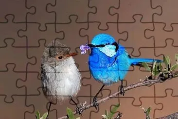 natural jigsaw puzzle
