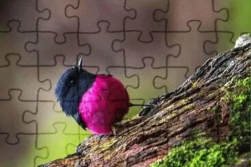 natural jigsaw puzzle
