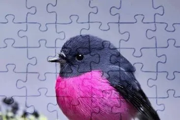 natural jigsaw puzzle