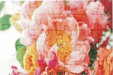 Flowers jigsaw puzzle