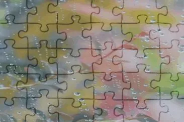 Flowers jigsaw puzzle