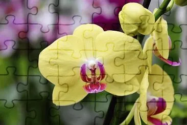 flores jigsaw puzzle