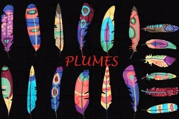 Plumes jigsaw puzzle
