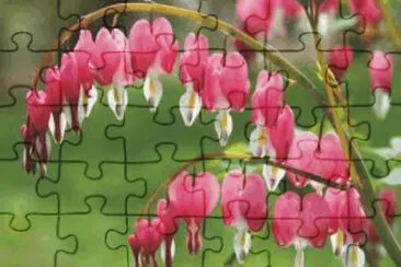 Flowers jigsaw puzzle