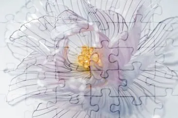 Flowers jigsaw puzzle