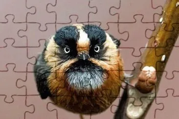 natural jigsaw puzzle