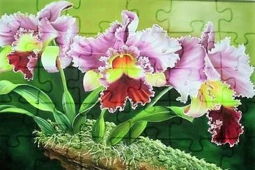 flores