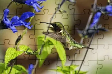 imagem jigsaw puzzle