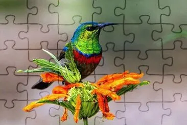 imagem jigsaw puzzle