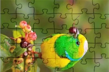 פאזל של natural
