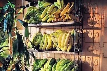 frutas jigsaw puzzle