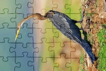 פאזל של natural